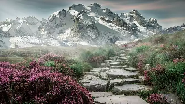 Featured Image